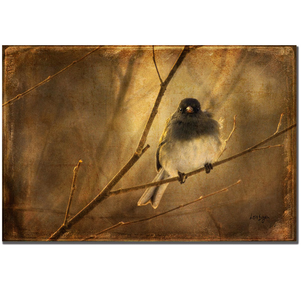 Backlit Birdie Canvas Print 