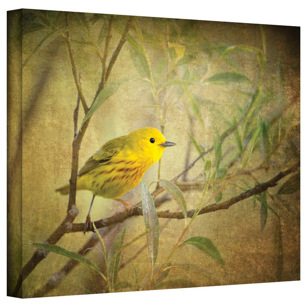Bird on Branch Canvas Giclee Print 