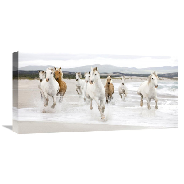 Horses on the Beach Photographic Print 
