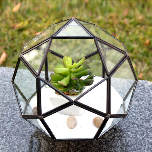Icosidodecahedron Glass Terrarium Planter