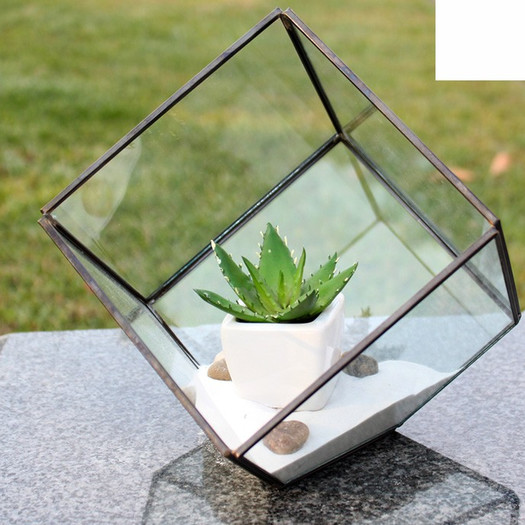 Heptahedron Tilted Cube Glass Terrarium Planter 
