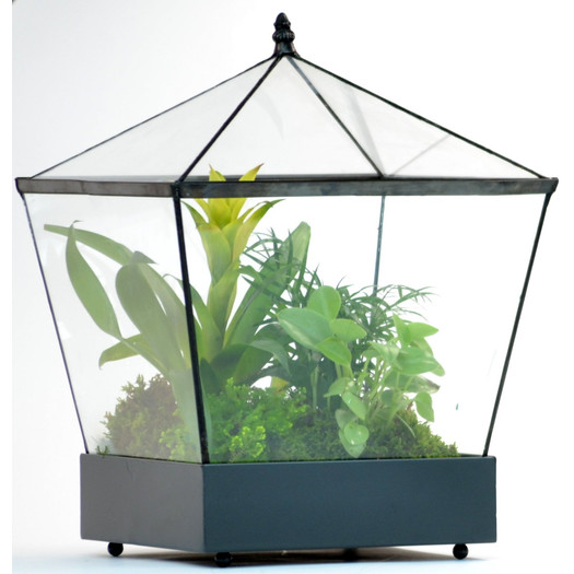 Glass Terrarium Planter 1400
