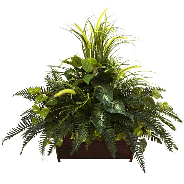 Mixed Grass and River Fern in a Wood Planter