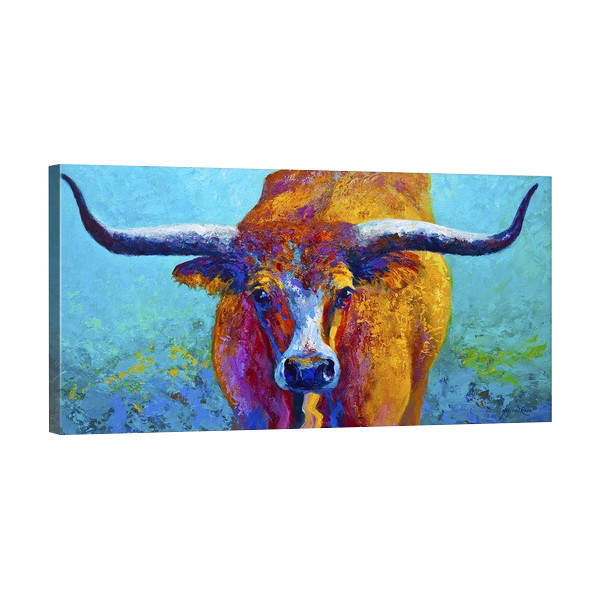 Wide Spread Texas Longhorn Canvas Print 