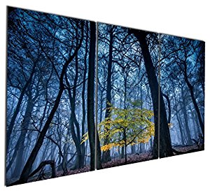 Forest Mist Canvas Wall Art Paintings Blue Landscapes