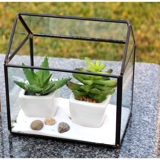 House Glass Terrarium Planter 