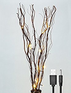 Lightshare Upgraded 36Inch 16LED Natural Willow Twig Lighted Branch for Home Decoration, USB Plug-in