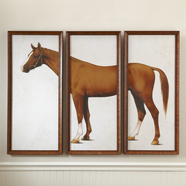 Horse Triptych Framed Print