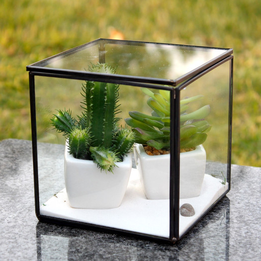 Hexahedron Cube Glass Terrarium Planter 