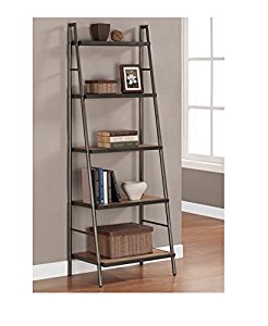 Modern Ladder Shelf