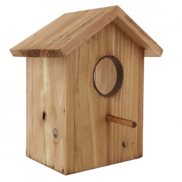 Secret Bird Watcher Birdhouse