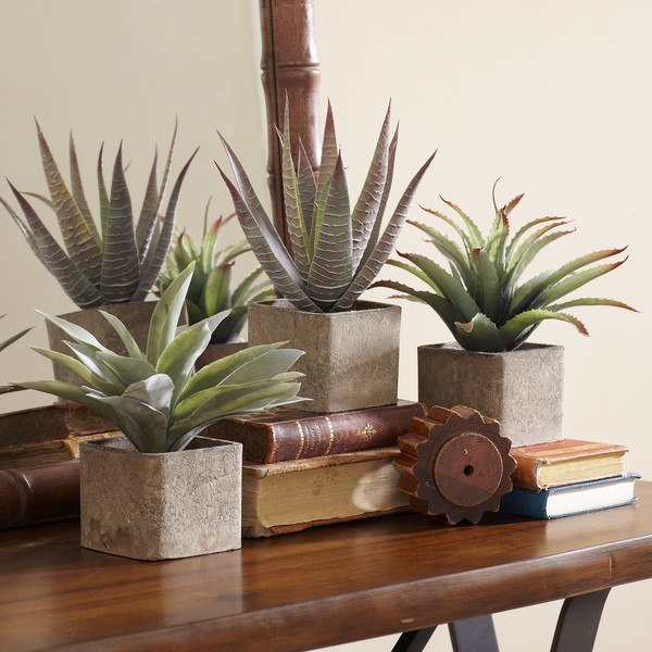 Lynda Faux Potted Agave Succulents