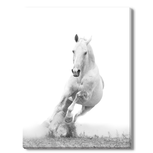 White Horse Canvas Giclee Print 