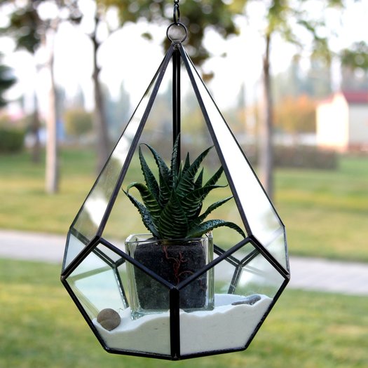 Undecahedron Tear Drop Glass Terrarium Planter 