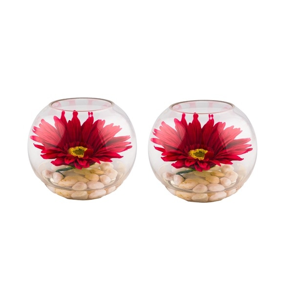 Red Gerbera in 3-inch x 4.5-inch Glass Bowl (Set of 2)