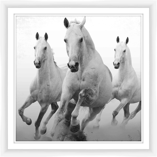 Three Horses Framed Giclee Print 