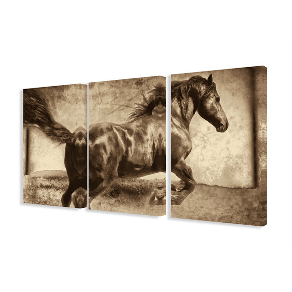 3-Piece Galloping Stallion Horse Photographic Print Canvas Set 