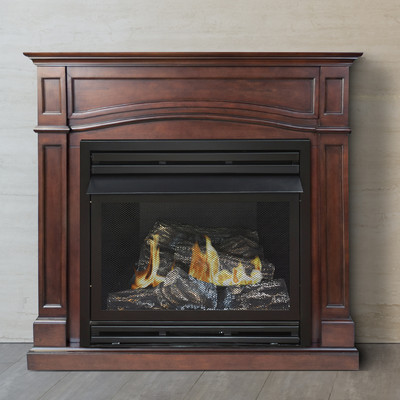 Dual Fuel Vent Free Gas Fireplace 