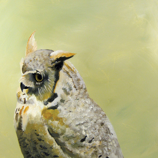 Great Horned Owl Canvas Print 